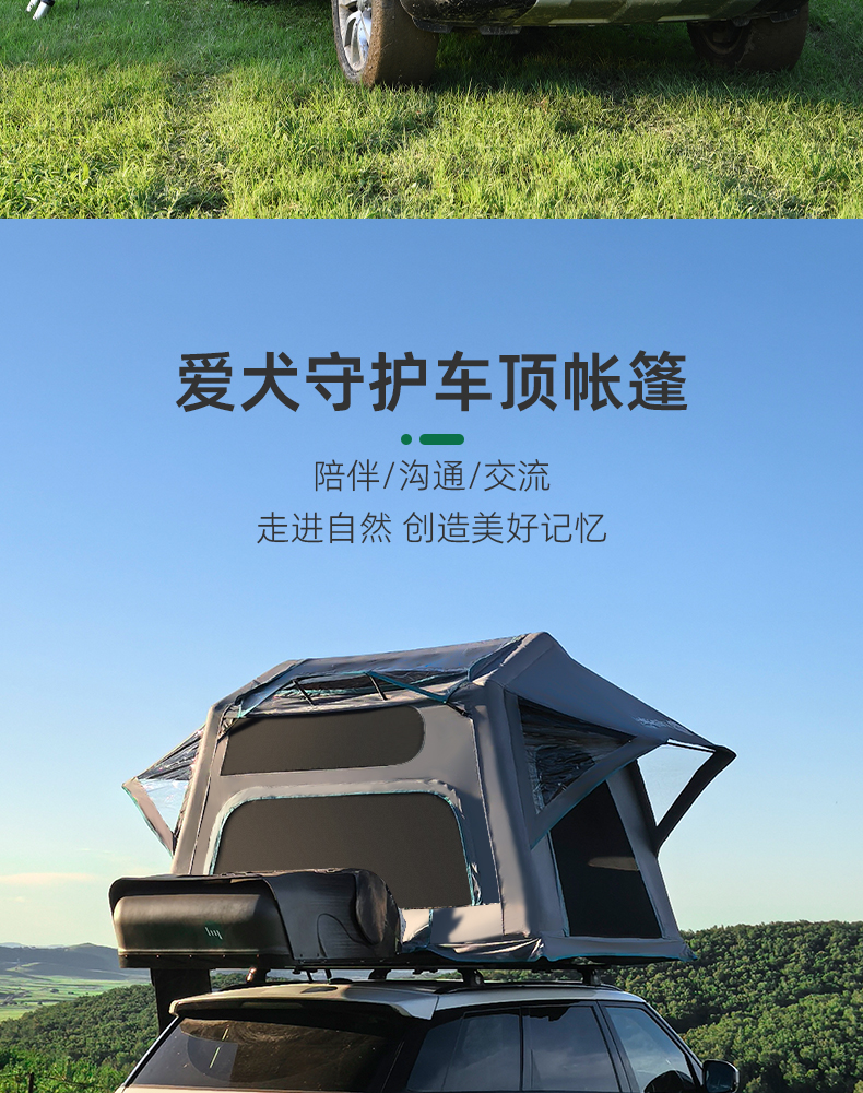 爱犬半自动0830_02.jpg
