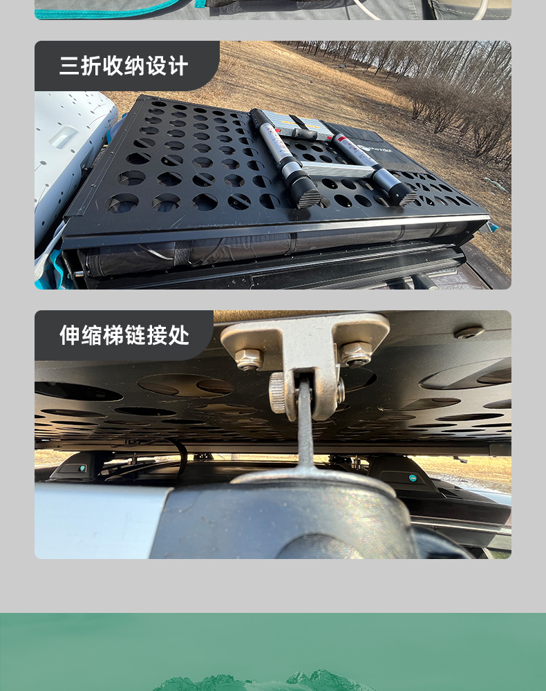 爱犬半自动0830_16.jpg