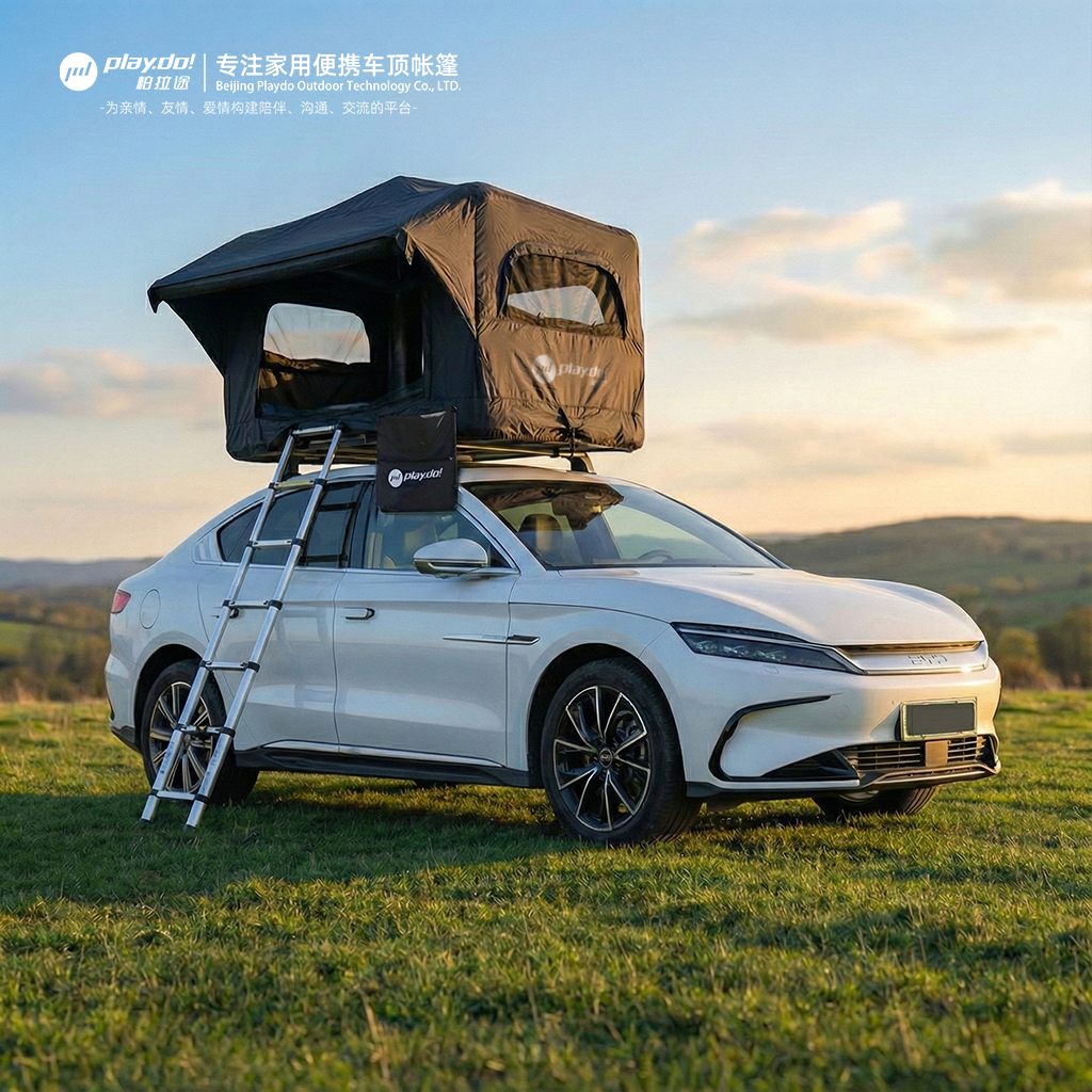 贝壳【城堡款】