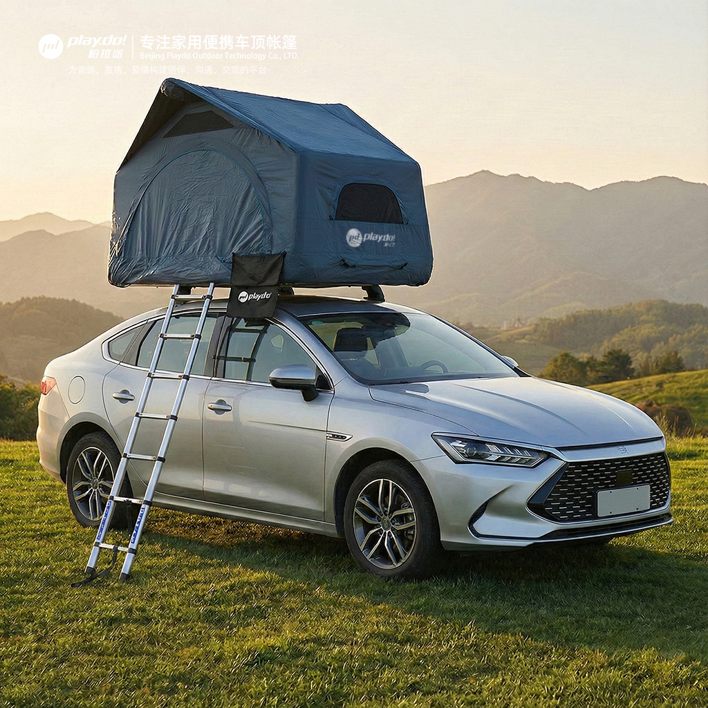 贝壳【展翼款】