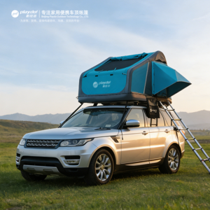 鱼之岛【限量款】